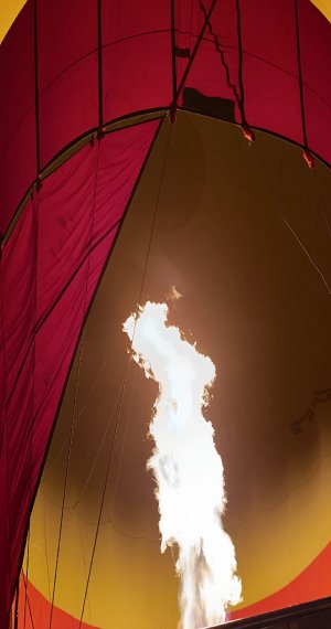 Le Vol en Montgolfière à Louxor