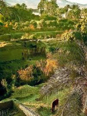 Le Village égyptien