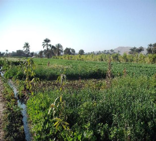 Le Village égyptien